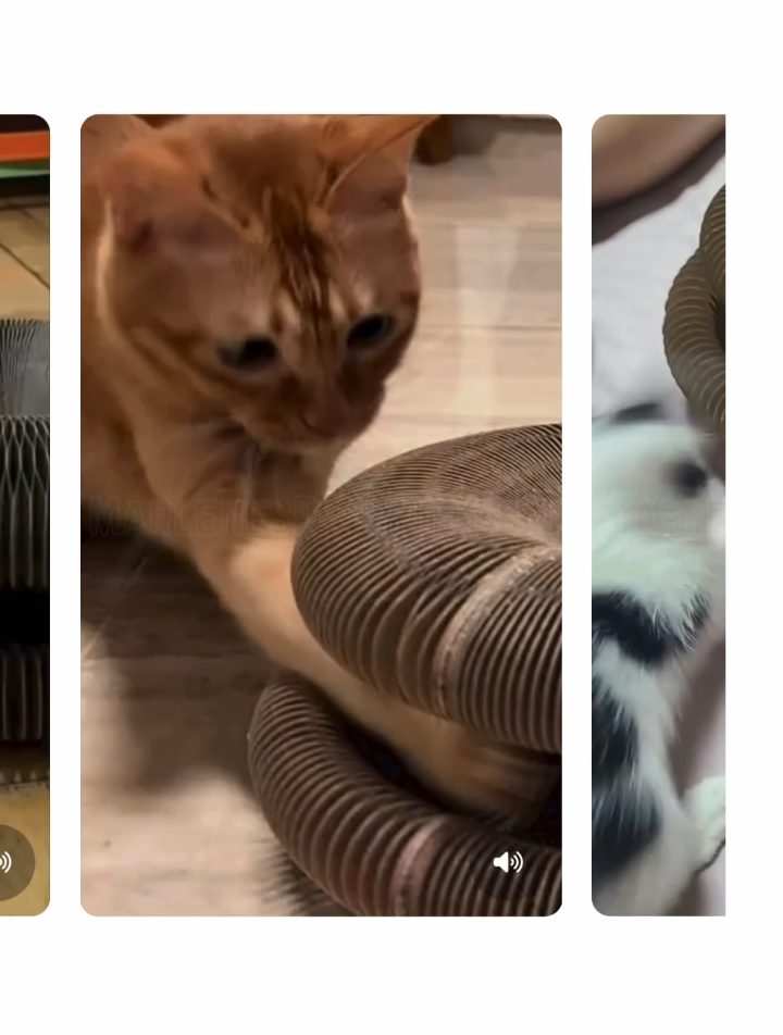 Vidéo 2